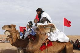 Image du Maroc Professionnelle de  Des hommes du désert s’apprêtent à une course de chameaux organisé dans un site désertique sur lequel la ville de Tan Tan a toujours accueilli la majorité des tribus et des grandes familles nomades du désert lors d'un grand Moussem, Samedi 7 Septembre 2013. Le festival parrainé par l'UNESCO rassemble des milliers de nomades du Maroc. (Photo / Abdeljalil Bounhar) 